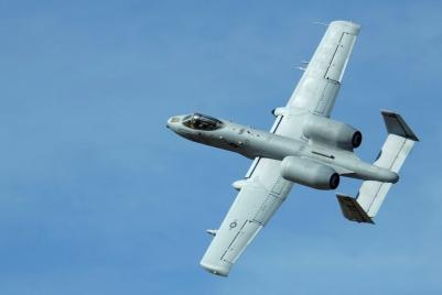 A-10 DM1