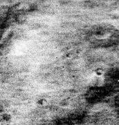 Amazonis Planitia 2S179W Mariner 4 - NASA