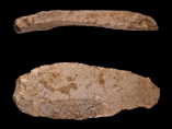 Aurignacian scraper tool