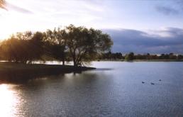 Crenshaw Pond - Carlos Valrand