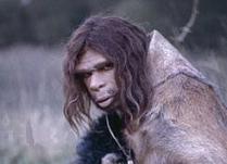 Homo neanderthalensis