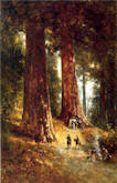 In the Redwoods - Thomas Hill