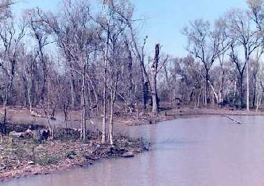 Southeast Texas Bayou